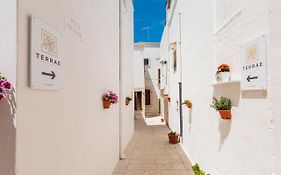 Terrae Rooms Rental